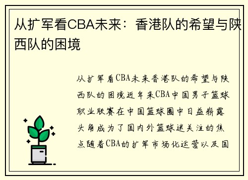 从扩军看CBA未来：香港队的希望与陕西队的困境